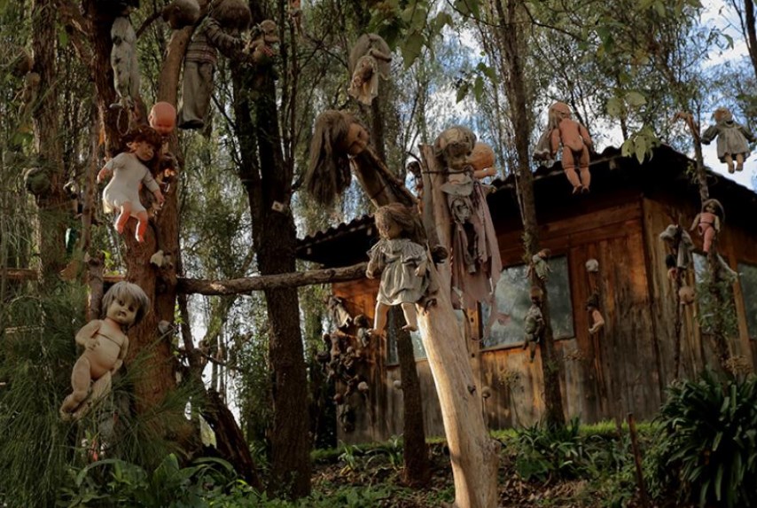 Creepy dolls hanging on trees